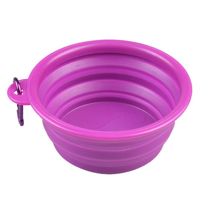 Colorful Pet Bowl