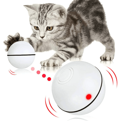 Smart Interactive Pet Ball